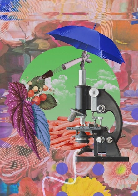 A collage of images representing different college majors: a microscope for science, a paintbrush for art, a calculator for mathematics, and a book for literature. The images are arranged in a grid, symbolizing the variety of options available to students.