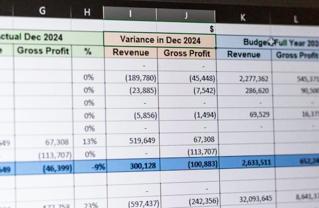 A detailed spreadsheet showing income, expenses, and savings goals. The spreadsheet should be well-organized and visually appealing, with clear categories and columns.