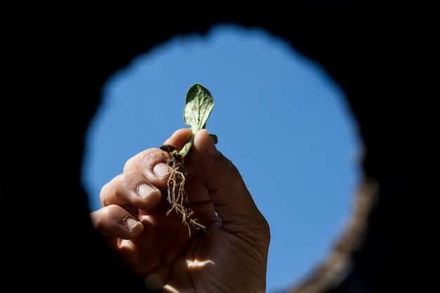 Tax-Efficient Charitable Giving: Maximize Deductions and Impact